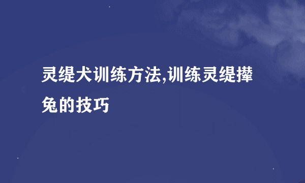 灵缇犬训练方法,训练灵缇撵兔的技巧