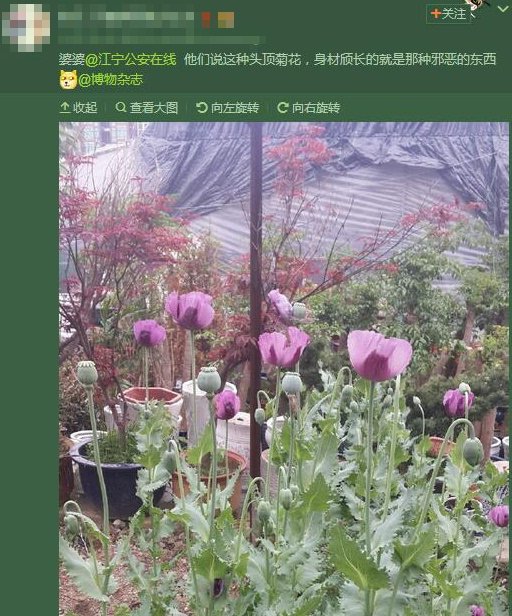 江宁公安在线的基本信息