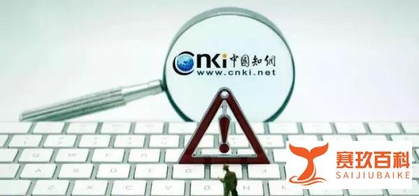 知网被罚五千万