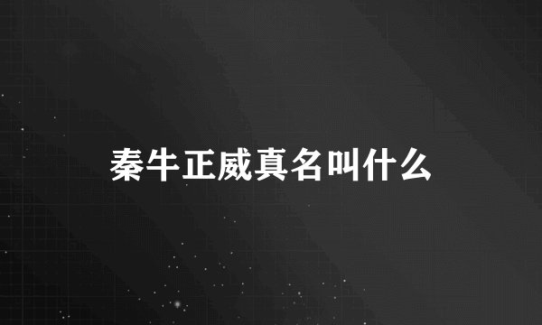 秦牛正威真名叫什么
