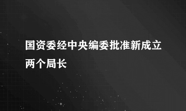 国资委经中央编委批准新成立两个局长