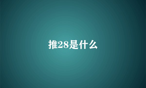 推28是什么