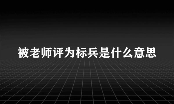 被老师评为标兵是什么意思
