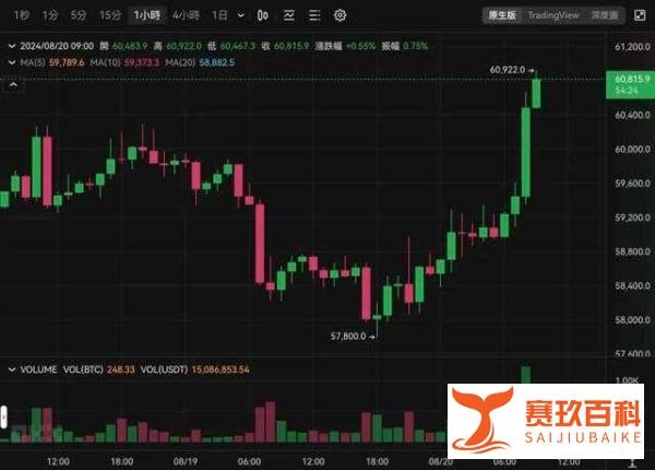 博森量化机器人：比特币冲刺6.1万美元！90%持币者稳如泰山，牛市信号强烈！