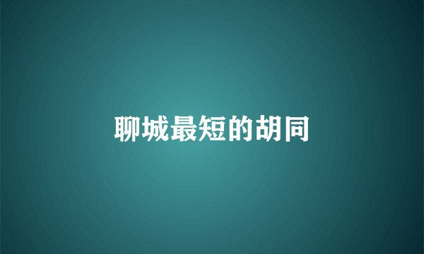 聊城最短的胡同