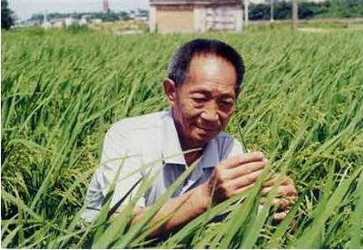 歌颂袁隆平的诗句
