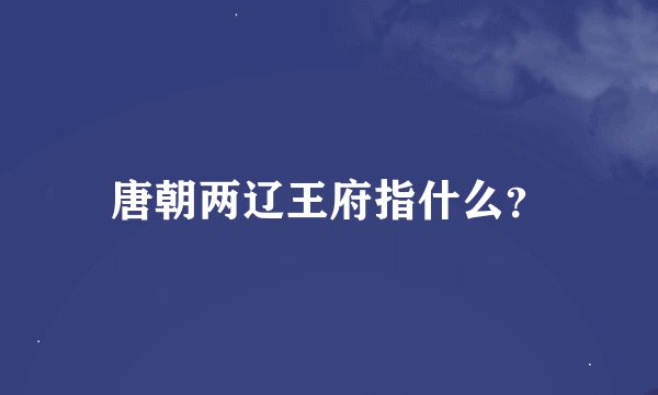 唐朝两辽王府指什么？