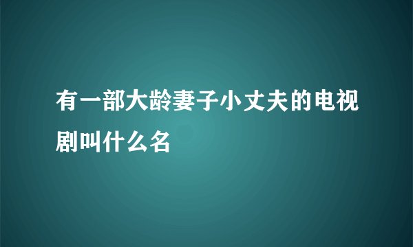 有一部大龄妻子小丈夫的电视剧叫什么名