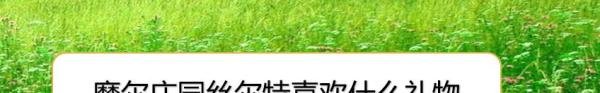 摩尔庄园丝尔特喜欢什么礼物