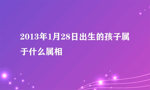 2013年1月28日出生的孩子属于什么属相