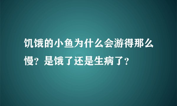 饥饿的小鱼为什么会游得那么慢？是饿了还是生病了？