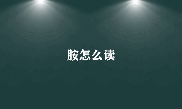 胺怎么读