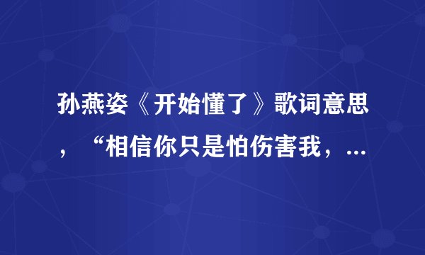 孙燕姿《开始懂了》歌词意思，“相信你只是怕伤害我，不是骗我”