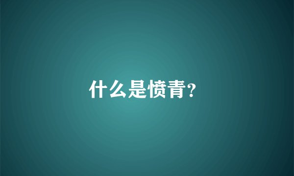 什么是愤青？