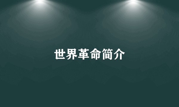世界革命简介