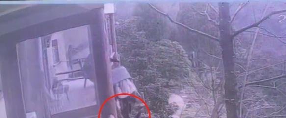 两男子将好友扔出窗外致十级伤残