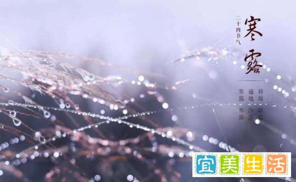 节后上班第一天，又得知你已过完2019法定节假日，你的心情是____。
