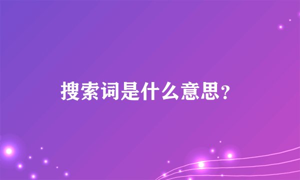 搜索词是什么意思？
