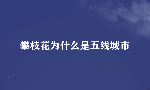 攀枝花为什么是五线城市