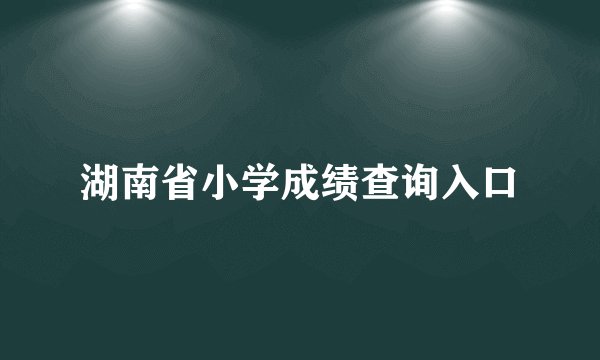 湖南省小学成绩查询入口