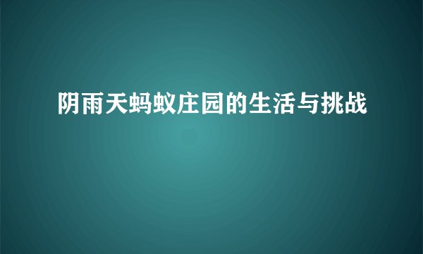 阴雨天蚂蚁庄园的生活与挑战