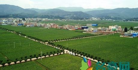 威宁秀水龙叫是真的吗 威宁秀水龙叫事件