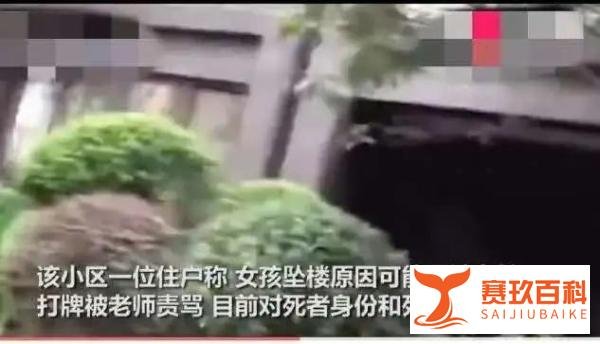 成都14岁少女坠亡事件后续：嫌疑人涉嫌强奸罪被批捕