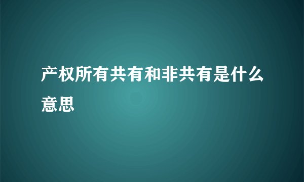 产权所有共有和非共有是什么意思