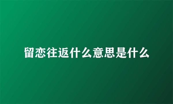 留恋往返什么意思是什么