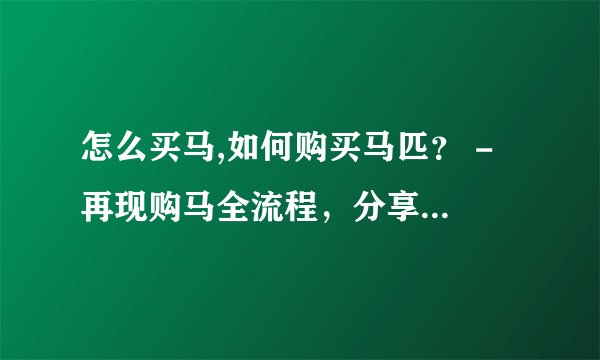 怎么买马,如何购买马匹？ - 再现购马全流程，分享正确买马方法