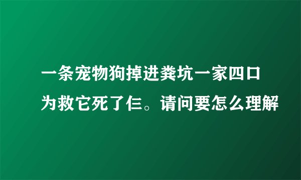 一条宠物狗掉进粪坑一家四口为救它死了仨。请问要怎么理解