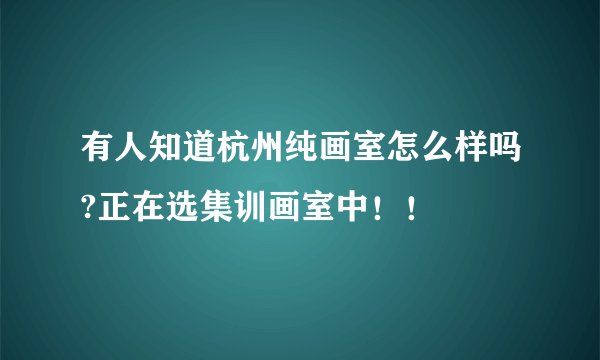 有人知道杭州纯画室怎么样吗?正在选集训画室中！！