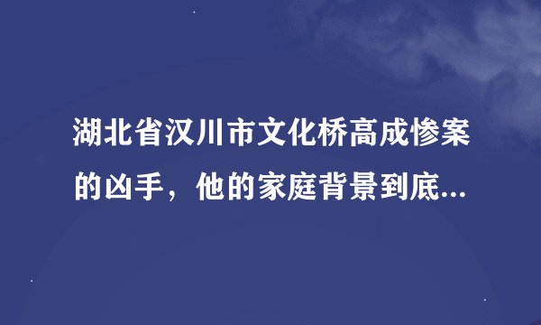 湖北省汉川市文化桥高成惨案的凶手，他的家庭背景到底是怎样的？
