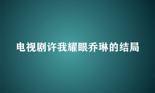 电视剧许我耀眼乔琳的结局