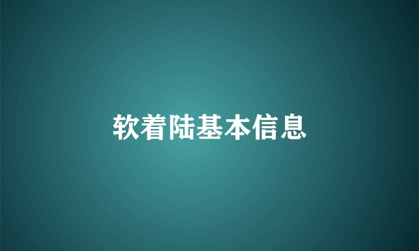 软着陆基本信息