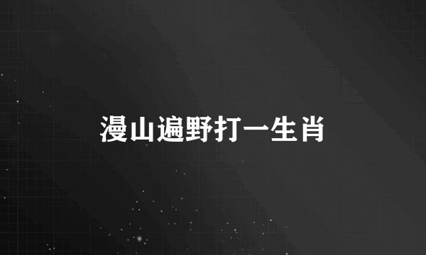 漫山遍野打一生肖