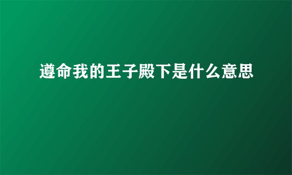 遵命我的王子殿下是什么意思
