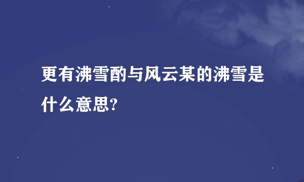 更有沸雪酌与风云某的沸雪是什么意思?