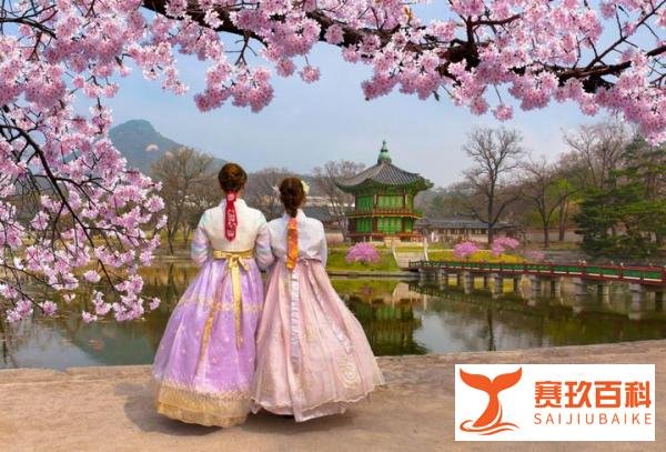 中国仍为韩方便面出口最大市场