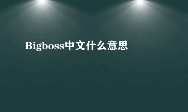 Bigboss中文什么意思