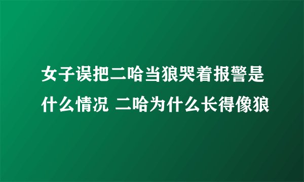 女子误把二哈当狼哭着报警是什么情况 二哈为什么长得像狼