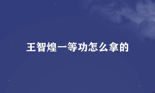 王智煌一等功怎么拿的