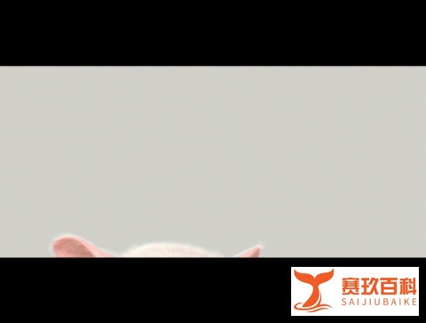 猪队友也能华丽冒险,《麦兵兵之夺宝联“萌”》陪伴成长爆笑来袭