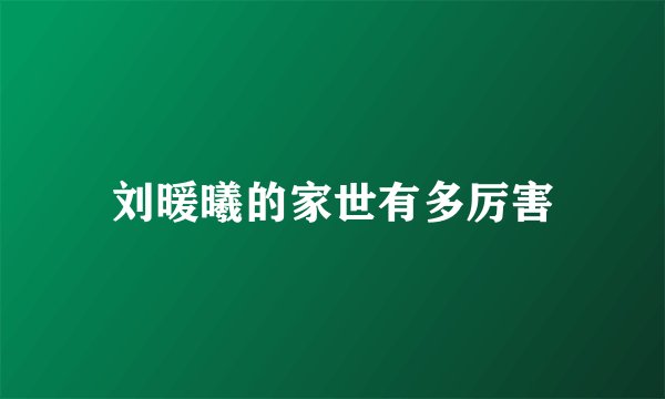 刘暖曦的家世有多厉害