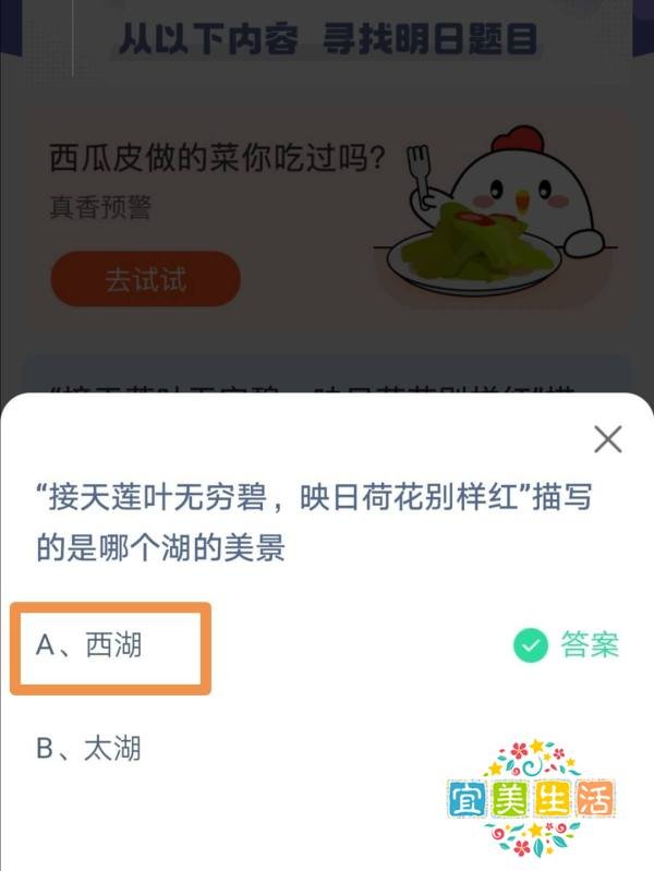 蚂蚁庄园接天莲叶无穷碧描写的是哪个湖的美景