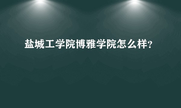 盐城工学院博雅学院怎么样？