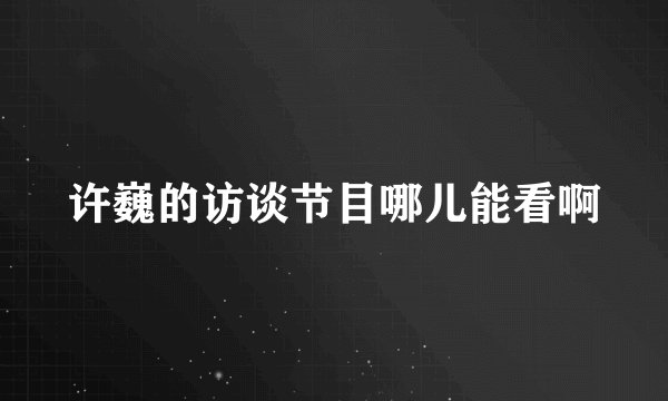 许巍的访谈节目哪儿能看啊