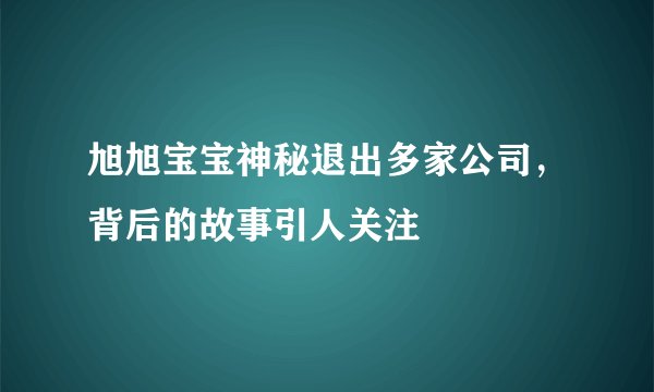 旭旭宝宝神秘退出多家公司，背后的故事引人关注