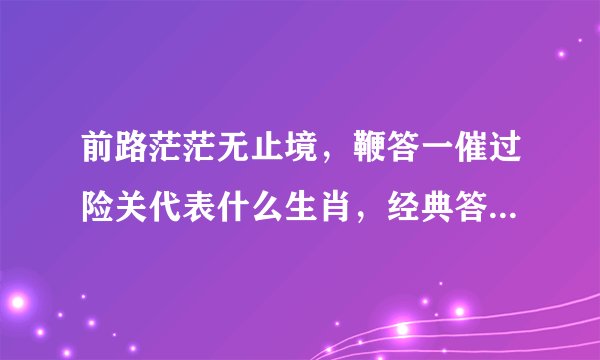 前路茫茫无止境，鞭答一催过险关代表什么生肖，经典答案梳理落实