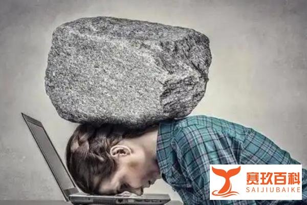 董明珠谈“躺平”：社会应反思溺爱教育，鼓励多元发展